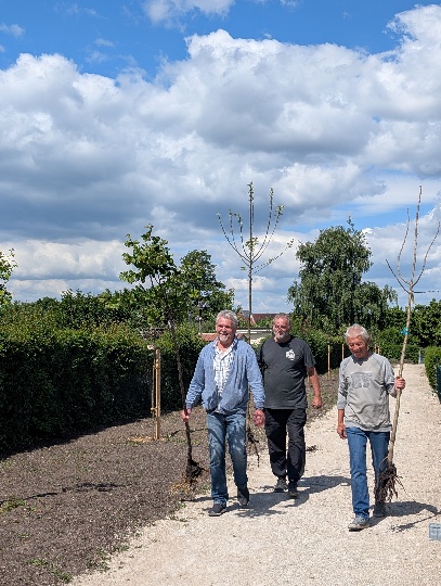 Baumpflanzung im Rahmen des Projektes Streuobstwiesen