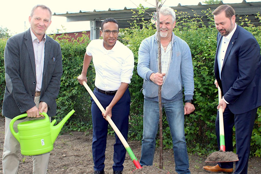Baumpflanzung im Rahmen des Streuobstwiesenprojektes im KGV Ideal e.V.