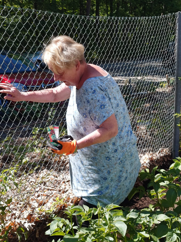 Farbe, Kreativität und Gemeinschaft – KGV Ideal e.V. bei „Alles blüht auf!“